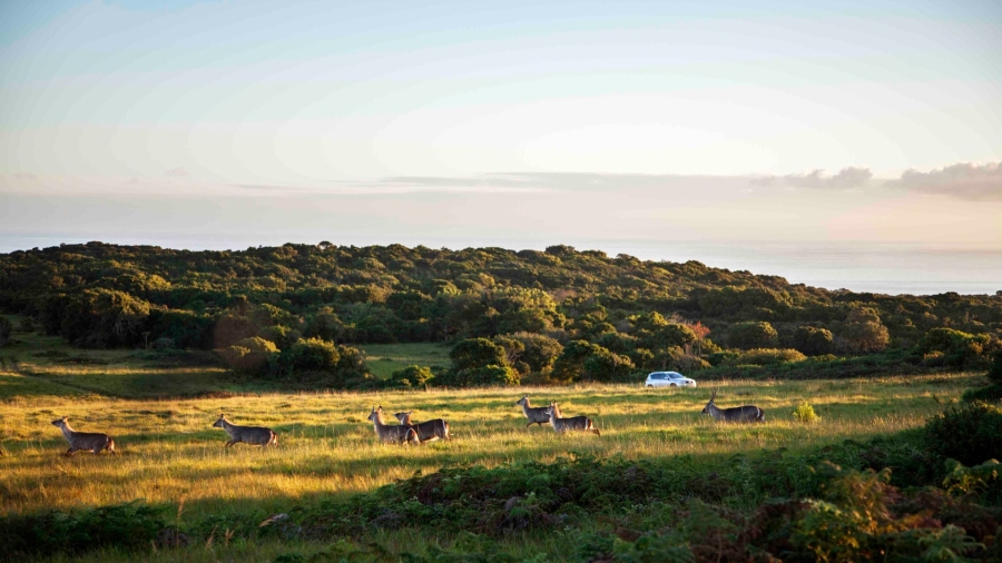 Commercial Property for Sale in Royalston Residential Estate and Wildlife Reserve Eastern Cape